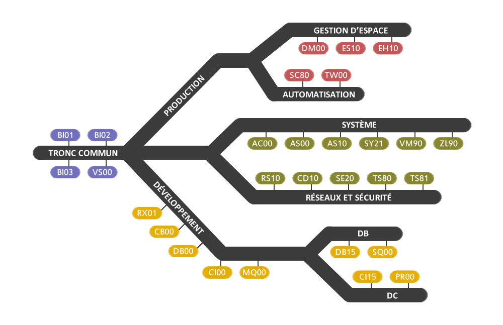 Des parcours de formations systèmes IBM spécifiques